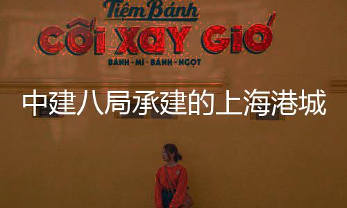 的上全面中建正项目海港海立团·突破技园八局承建城集方科负零三期