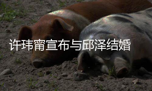 甯宣 林乐永邱泽许玮心如 幸结婚开心布与远福福快送祝