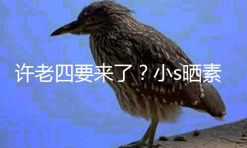 来了照调许老小像怀己个月侃自孕三四要s晒素颜
